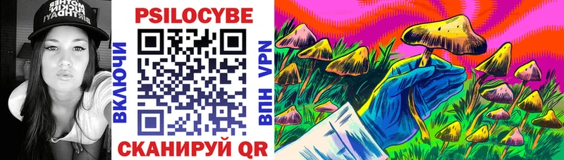 купить закладку  Стерлитамак  Псилоцибиновые грибы мицелий 